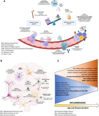 Impact of aging on treatment considerations for multiple sclerosis patients